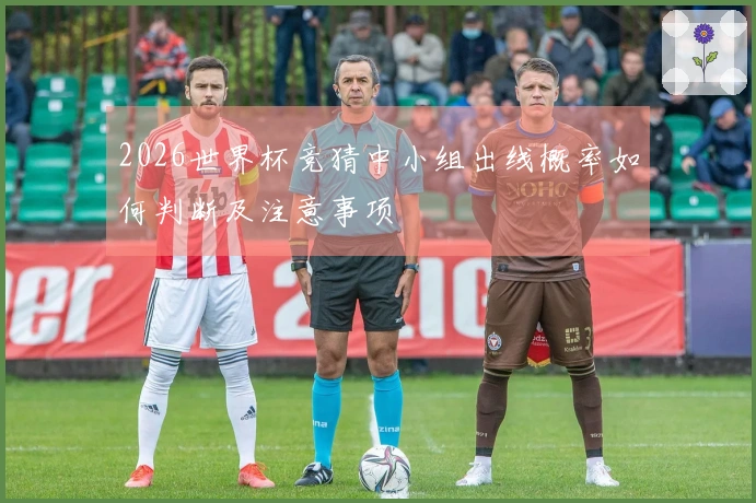 2026世界杯竞猜中小组出线概率如何判断及注意事项