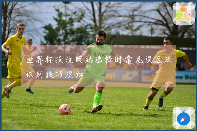 世界杯投注网站选择时常见误区及识别技巧须知