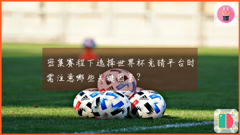 密集赛程下选择世界杯竞猜平台时需注意哪些关键因素？