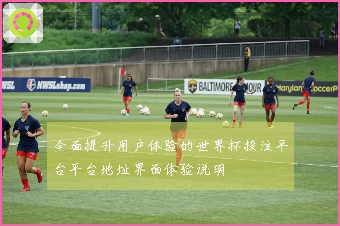 全面提升用户体验的世界杯投注平台平台地址界面体验说明