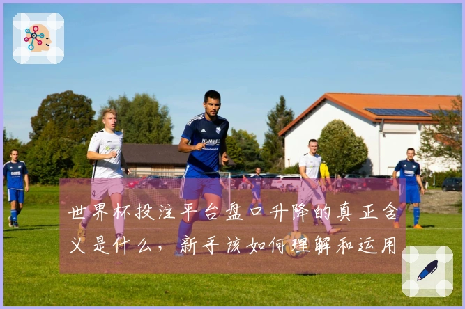 世界杯投注平台盘口升降的真正含义是什么，新手该如何理解和运用？