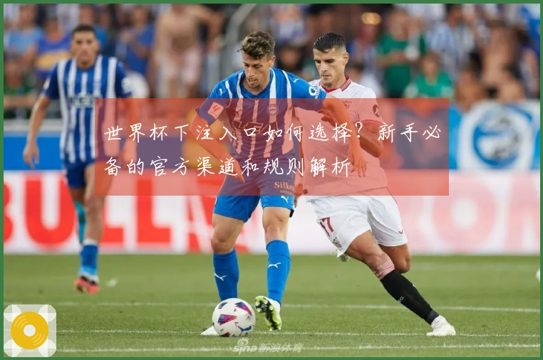 世界杯下注入口如何选择？新手必备的官方渠道和规则解析