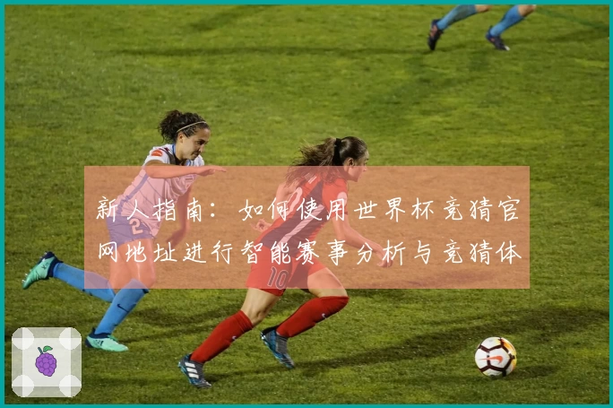 新人指南：如何使用世界杯竞猜官网地址进行智能赛事分析与竞猜体验