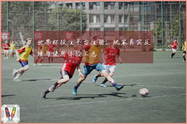 世界杯投注平台注册：玩家真实反馈与使用体验汇总