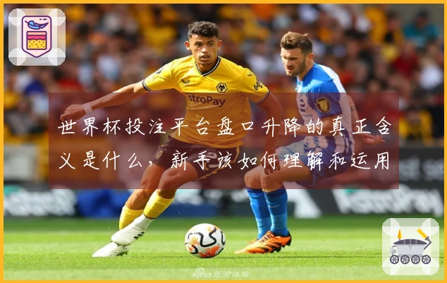 世界杯投注平台盘口升降的真正含义是什么，新手该如何理解和运用？
