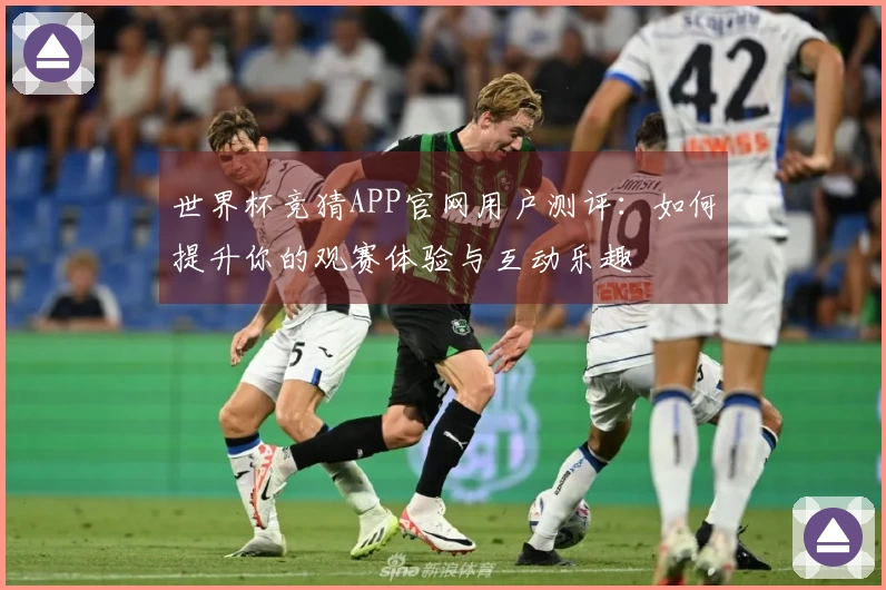 世界杯竞猜APP官网用户测评：如何提升你的观赛体验与互动乐趣