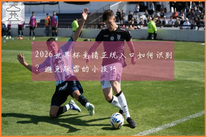 2026世界杯竞猜正规入口如何识别？避免踩雷的小技巧