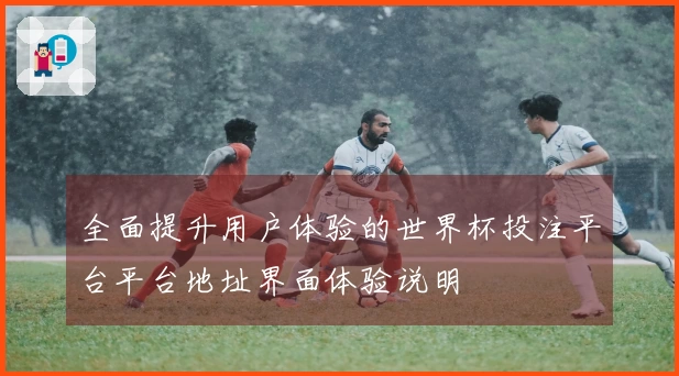 全面提升用户体验的世界杯投注平台平台地址界面体验说明
