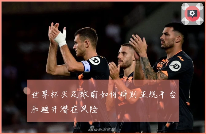世界杯买足球前如何辨别正规平台和避开潜在风险