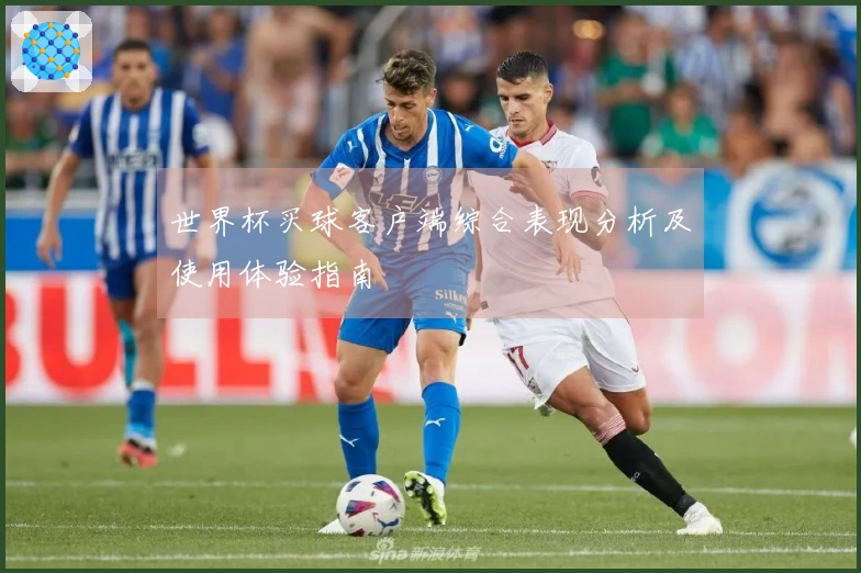 世界杯买球客户端综合表现分析及使用体验指南